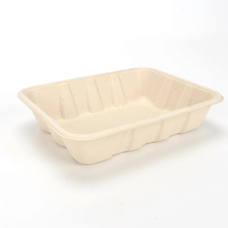 Biologisch abbaubare umweltfreundliche Wegwerfbrotdose für Salat-Früchte Ntqw95025 Ut175