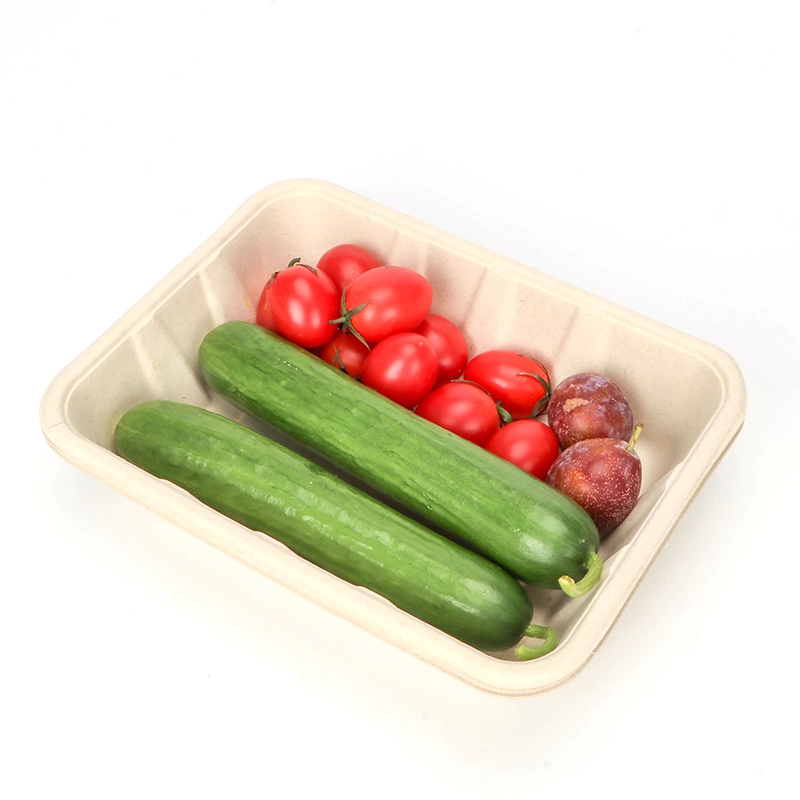 Biologisch abbaubare umweltfreundliche Wegwerfbrotdose für Salat-Früchte Ntqw95025 Ut175