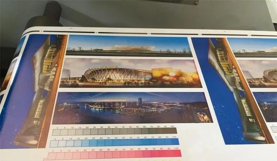 4 Genauigkeits-Aufkleber Flexo Printer#450mm Farb-Rollen-Flexo-Etikettendruckmaschine-320mm 80m/Min#±0.1mm maximale Schreibbreite