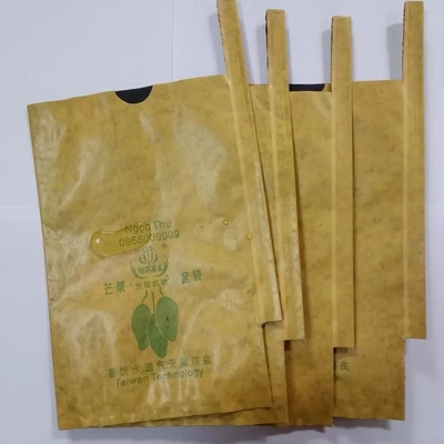 Mango-Frucht-Kraftpapier-Tasche, die Maschine 3KW automatisch herstellt