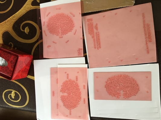 Hohe Auflösung Flexo, das Platten Harz-Brett-Darstellung Shimei Digital druckt